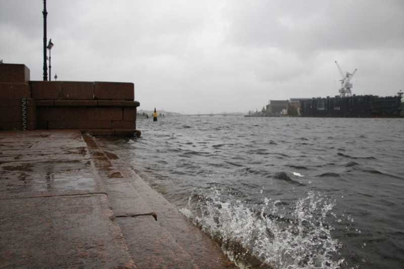 В Петербурге ожидается усиление ветра до 17 метров в секунду