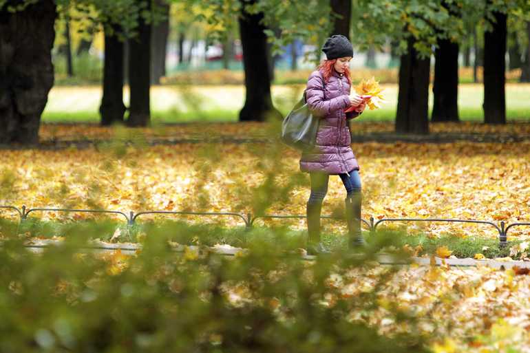 В последний день октября в Петербурге будет сухо и тепло