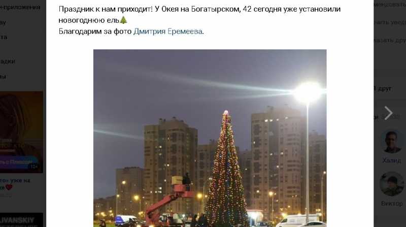 Первая новогодняя елка появилась на Богатырском проспекте