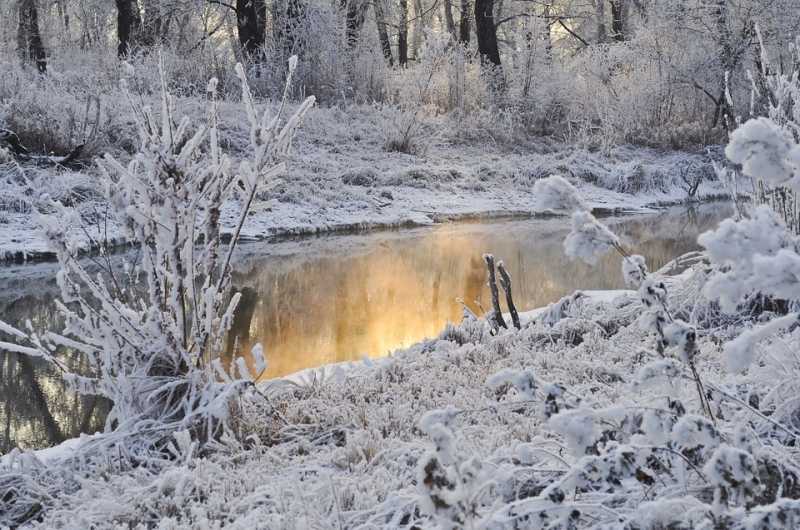 Россиян предупредили о температурных аномалиях в ряде регионов