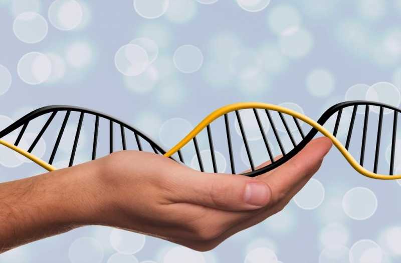 Ученые выяснии, как отключить ген, отвечающий за развитие рака