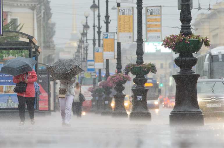 Петербуржцев предупредили об ухудшении погоды 8 ноября: мокрый снег и ветер