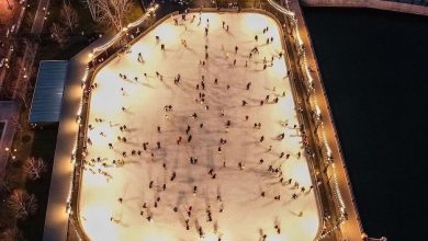 Где покататься на коньках? ▫️Новая Голландия Уже с 13 ноября открылся каток в Новой…