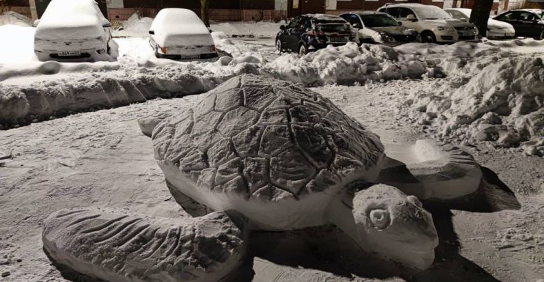 В Выборге в одном из двор слепили вот такую гигантскую черепаху. Спасибо снегопаду