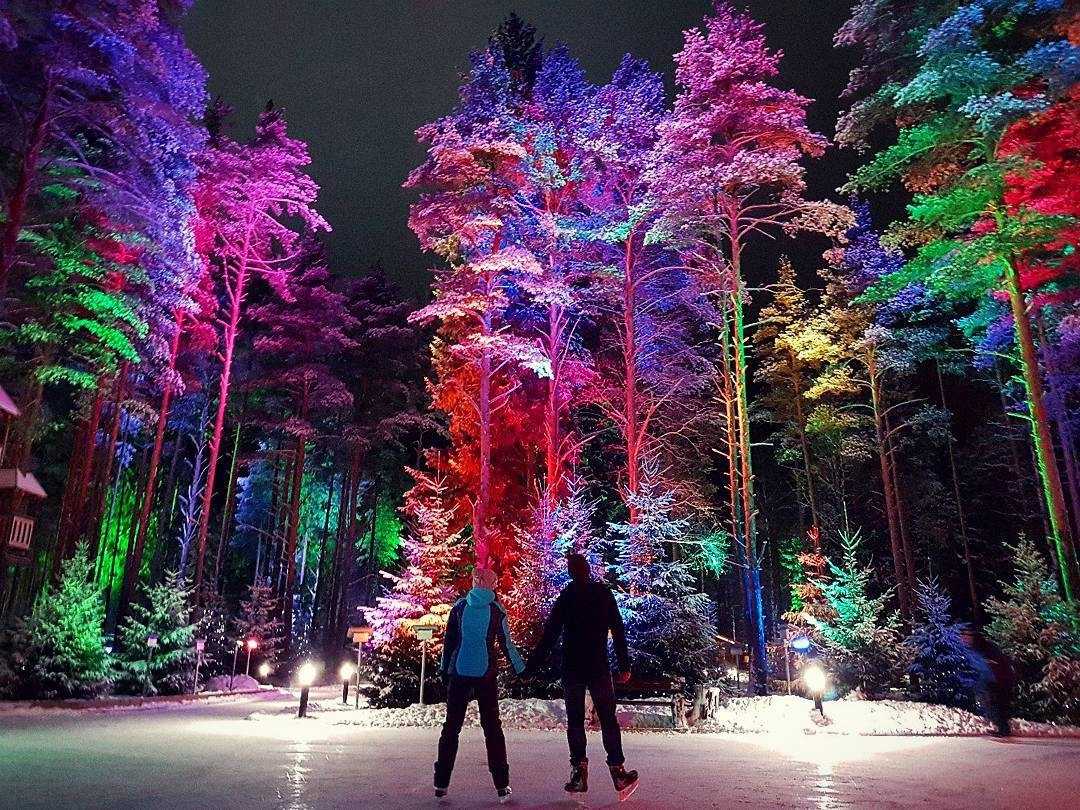 Сказочный лес воробьевы горы. Лесной каток в Охта парке. Охта-парк Санкт-Петербург каток. Каток Питер Охта парк. Лесной каток в Охта-парке Петербург.