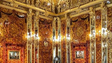 Екатерининский дворец Экспозиция Екатерининского дворца-музея охватывает почти 300-летнюю историю выдающегося памятника и знакомит с…