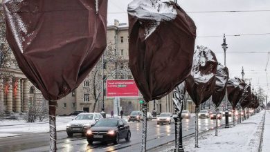 На Московском проспекте деревья похожи на огромные конфеты