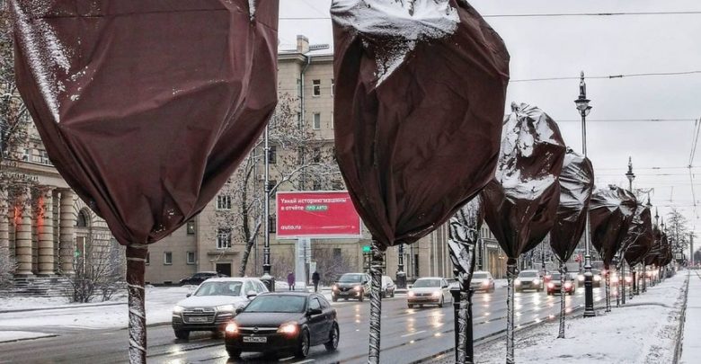 На Московском проспекте деревья похожи на огромные конфеты