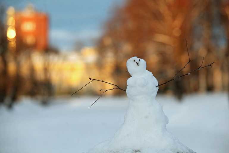 Жителей Ленобласти ожидает плюсовая температура и мокрый снег 24 декабря