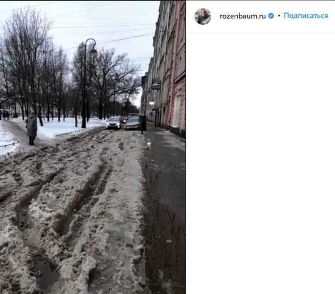 «Это беспредел»: Розенбаум в шоке от уборки улиц в Петербурге |