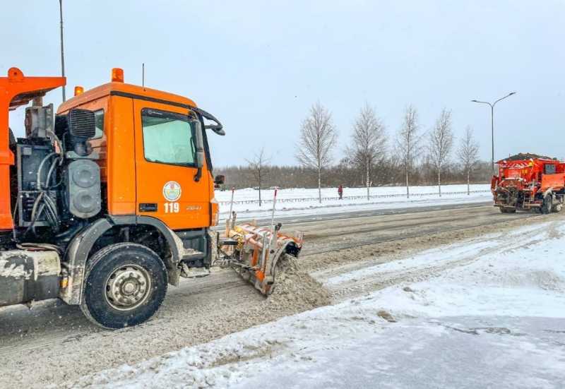Петербуржцы просят губернатора взять под контроль снег