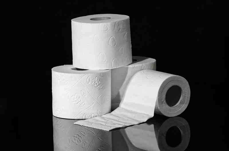 Аналитик предостерег о перебоях с поставкой туалетной бумаги