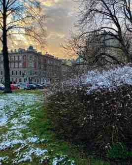 Сегодняшний снежок в Санкт-Петербурге 🇷🇺