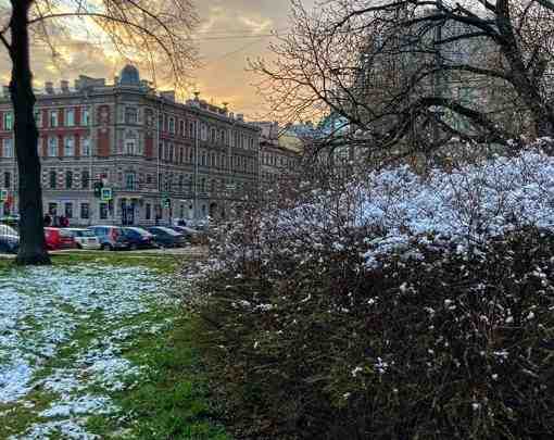 Сегодняшний снежок в Санкт-Петербурге 🇷🇺