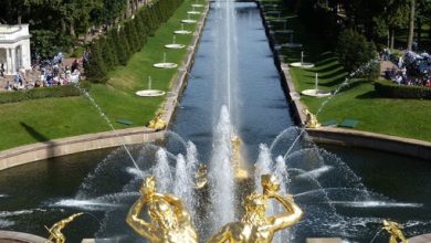 ️Сегодня в Петергофе прошёл торжественный пуск фонтанов Включились все фонтаны Нижнего парка, и в…