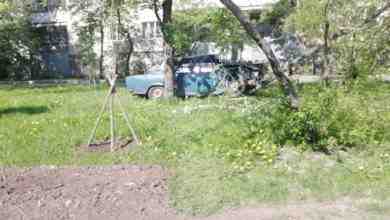 На Белорусской улице Лада столкнулась с деревом
