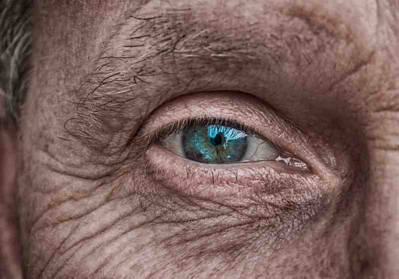 Названы различия между болезнью Альцгеймера и забывчивостью - Новости Санкт-Петербурга
