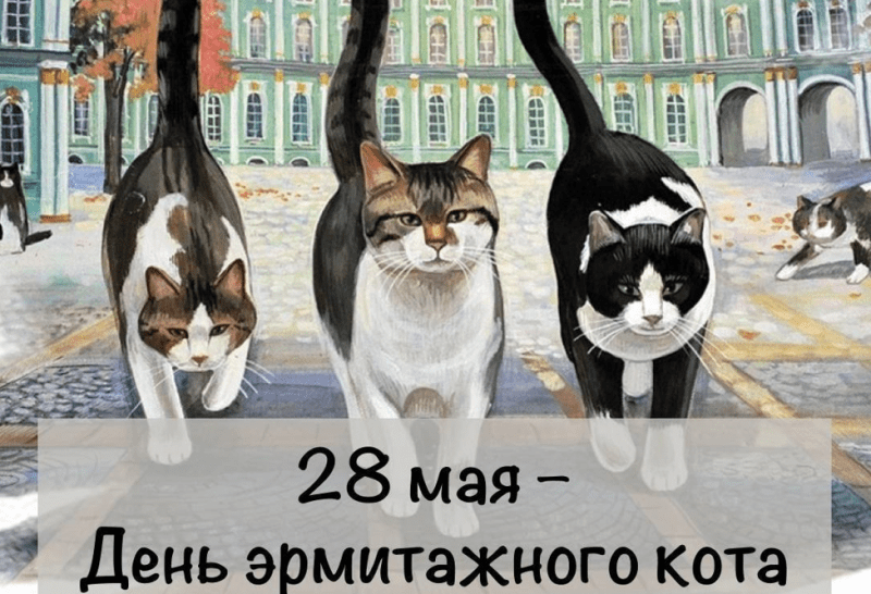 В Петербурге отмечают День эрмитажного кота - Новости Санкт-Петербурга