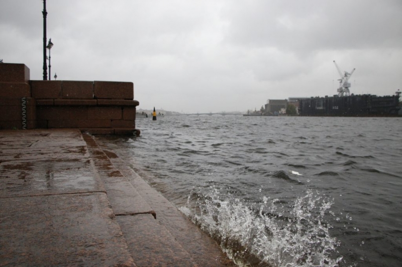 Жителей Петербурга предупредили о бушующем ветре в пятницу - Новости Санкт-Петербурга