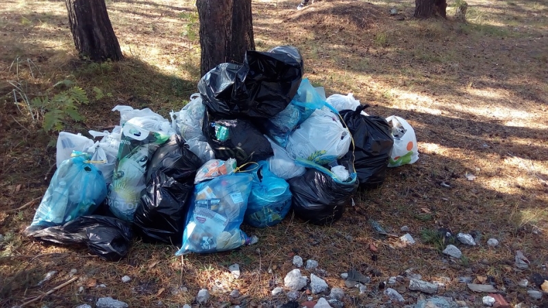С 1 июля петербуржцы будут платить за вывоз мусора на 30% больше - Новости Санкт-Петербурга