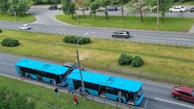 На Королёва, 79 и 202 автобус нашли друг друга
