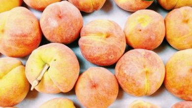 Шесть тонн зараженных персиков пытались провезти в Санкт-Петербург из Сербии Специалисты отобрали образцы и…