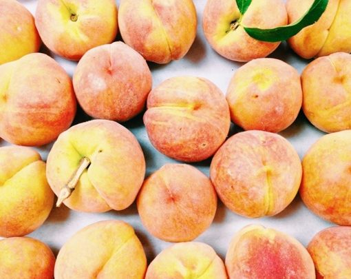 Шесть тонн зараженных персиков пытались провезти в Санкт-Петербург из Сербии Специалисты отобрали образцы и…
