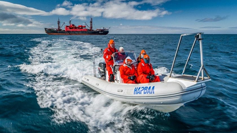 Географический «Оскар» может получить проект «Газпром нефти» о «морских единорогах» - Новости Санкт-Петербурга