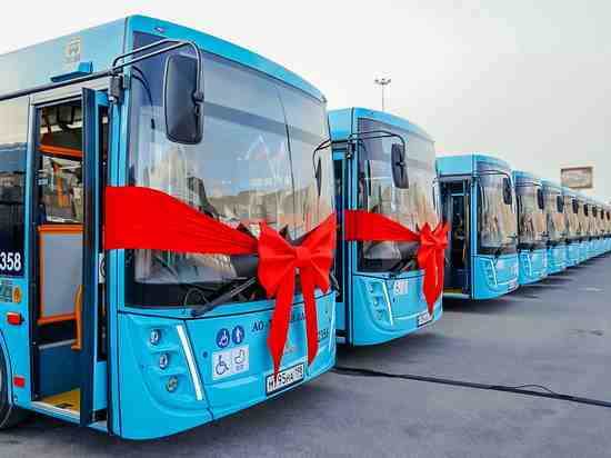 Комитет по транспорту рассказал о поставках новых автобусов в рамках транспортной реформы - Новости Санкт-Петербурга