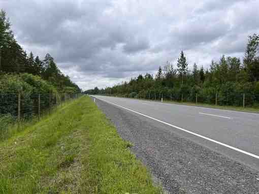 В Лодейнопольском районе Ленинградской области дорожники смонтировали 32,5 км нового сетчатого ограждения вдоль федеральной…