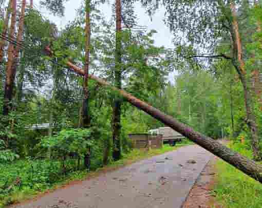 Фотографии п. Ушково после вчерашней непогоды