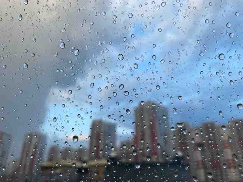В понедельник Петербург плачет дождем перед приближающимся холодным вторником - Новости Санкт-Петербурга