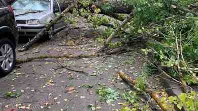 На Бассейной д.3, упало дерево и раздавило Фольксваген, также разбито стекло в доме