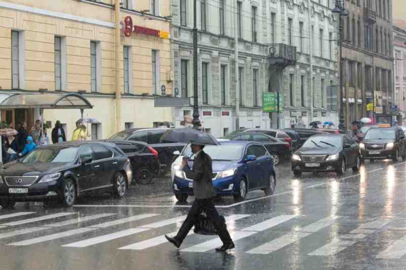 К середине сентября в Петербурге может стать теплее - Новости Санкт-Петербурга