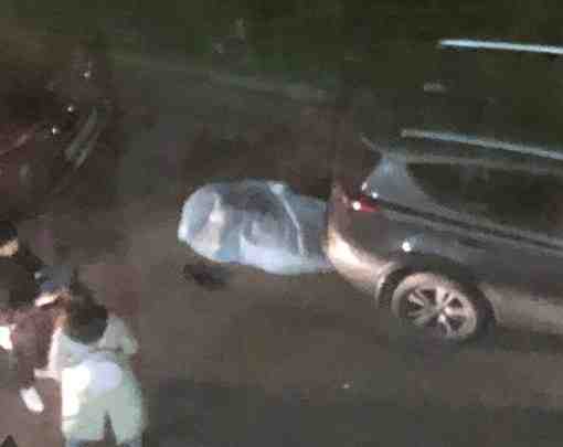 На Пулковской у дома 2 корпус 1 нашли труп между машин