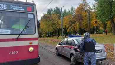 В Кировском районе Петербурга сотрудники Росгвардии задержали нетрезвого мужчину, который проник в трамвайное депо…