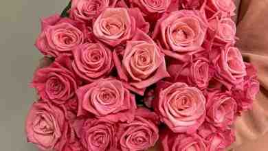 Розы от 129 руб Большой ассортимент сборных букетов Композиций Разной экзотики…