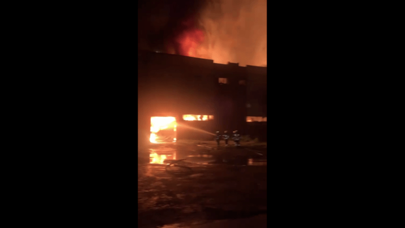 Прокуратура Петербурга проведет проверку после крупного пожара на складе в поселке Металлострой - Новости Санкт-Петербурга