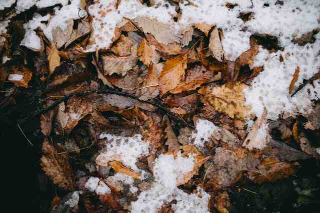 Специалист рассказал, что петербуржцы могут увидеть первый снег уже в начале ноября - Новости Санкт-Петербурга