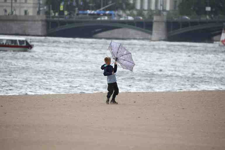 В Петербурге из-за сильного ветра закрывают сады и скверы - Новости Санкт-Петербурга
