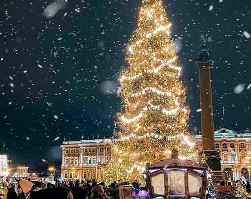Главная новогодняя ёлка Северной столицы появится на Дворцовой площади к 20 декабря. А вот…