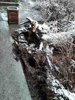 Днем на проспекте . Металлистов у дома 89 на припаркованный автомобиль Киа упало дерево
