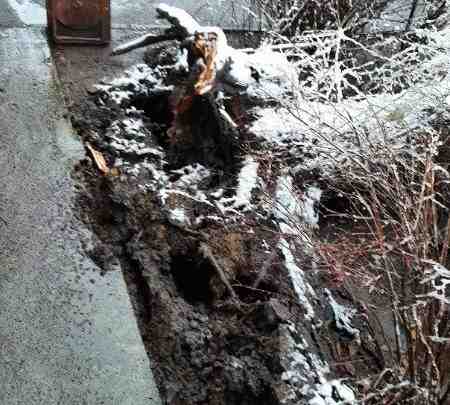 Днем на проспекте . Металлистов у дома 89 на припаркованный автомобиль Киа упало дерево