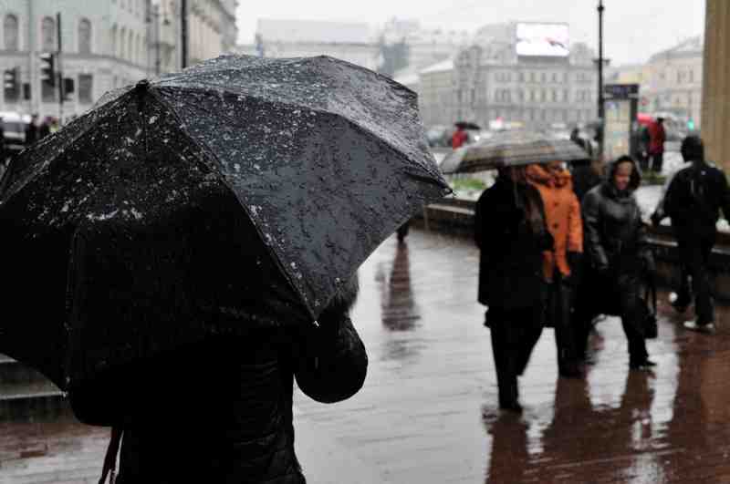 Суббота в Петербурге будет теплой и ветреной - Новости Санкт-Петербурга