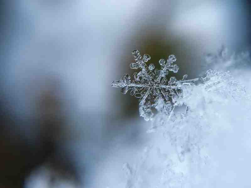 Синоптик Колесов рассказал, с чего начнется зима в Петербурге - Новости Санкт-Петербурга