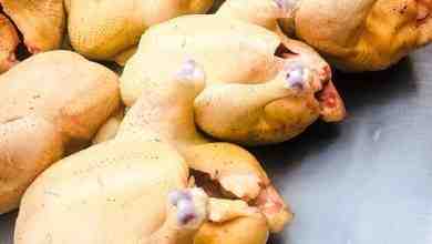 Жёлтая фермерская курица! Халяль, куры из Кабардино-Балкарии. Экологически чистый продукт, глубокая…
