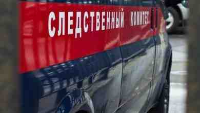 В Красносельском районе Петербурга нашли человеческую голову в пакете Инцидент произошел на улице Добровольцев,…