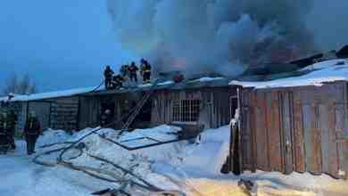 В Ленинградской области огнеборцы локализовали пожар В деревне Вартемяги горел ангар на 300 квадратных…