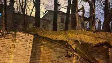 С территории психиатрической больницы № 3 имени И. И. Скворцова-Степанова упало дерево вечером в…
