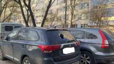 29 апреля в во дворе дома №20 по Софийской улице некое «животное» разбило стекло…